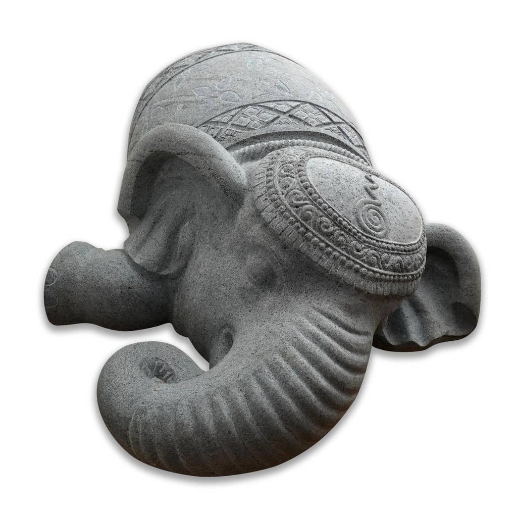 Elephant New Big