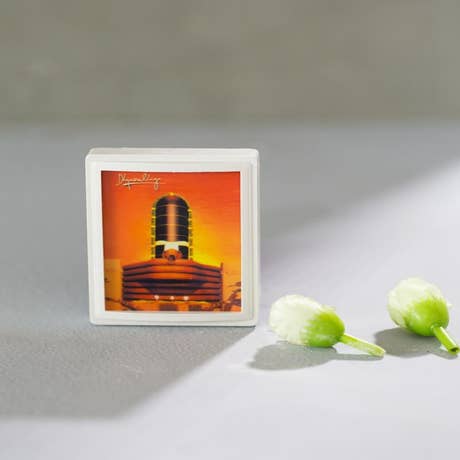 Dhyanalinga Night Lamp