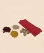 Devi Abhishekam Offerings Kit
