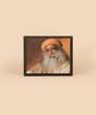 Sadhguru Photo - 6x4 (With Frame And Stand)
