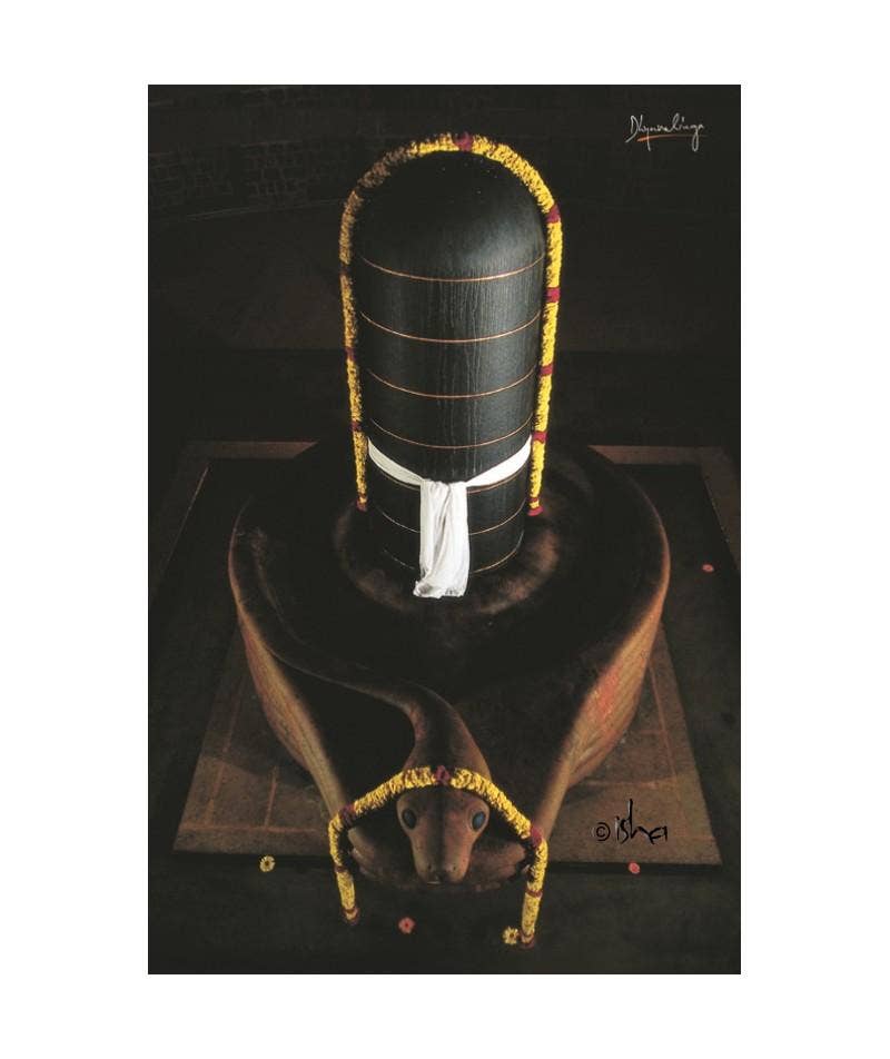 Dhyanalinga Photo - Black 8x12 (With Frame)