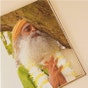 Sadhguru: A Convex View