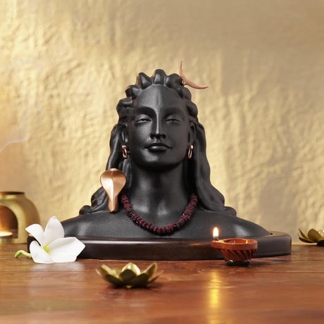 Adiyogi’s Radiant Grace 