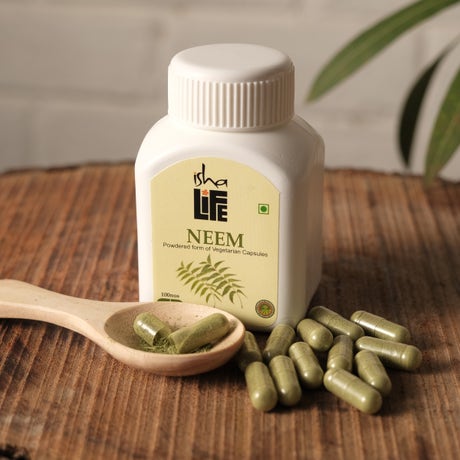 Neem Powder in Veg Capsules, 100 pcs