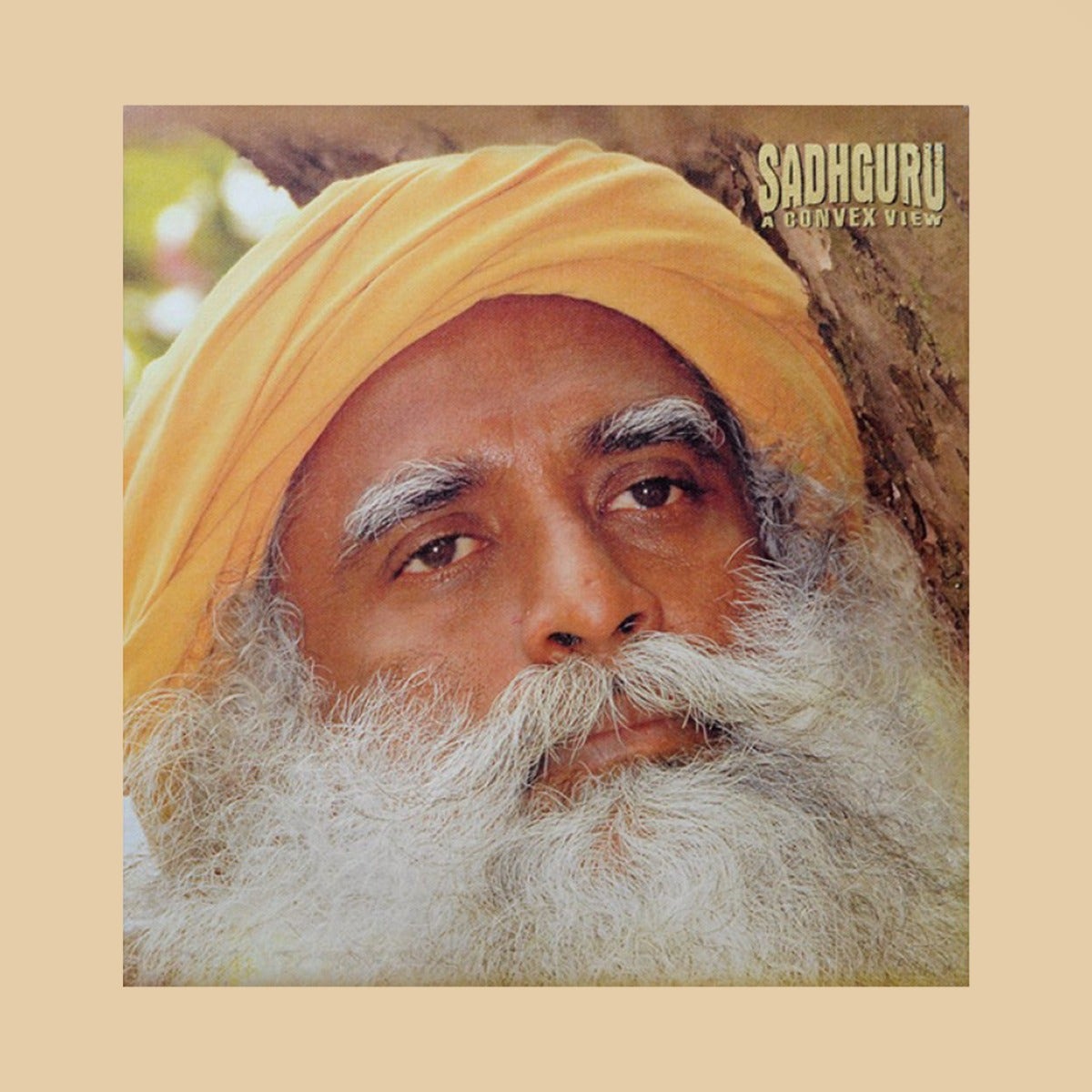 Sadhguru - A Convex View