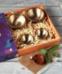 Enchanting Lights Gift Set (Set of 4)