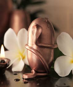 Jeevarasam (Consecrated)