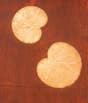 Lotus Leaf Copper Inlay Wooden Table 18''x18''