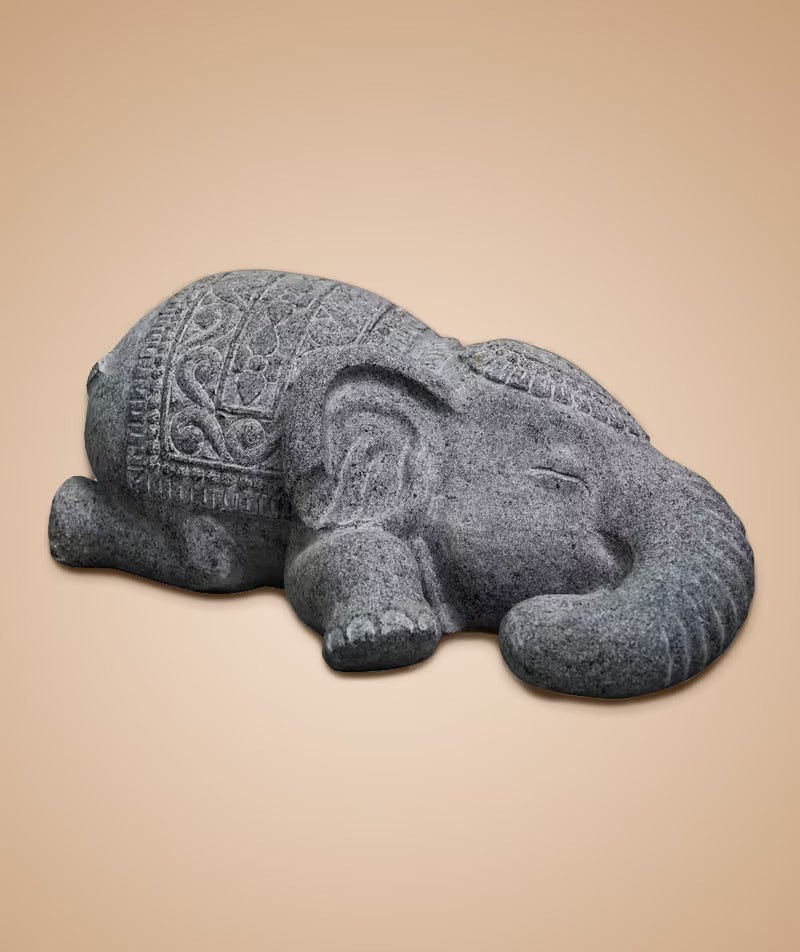 Elephant New Small
