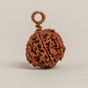 Gaurishankar Rudraksha Bead (Consecrated)