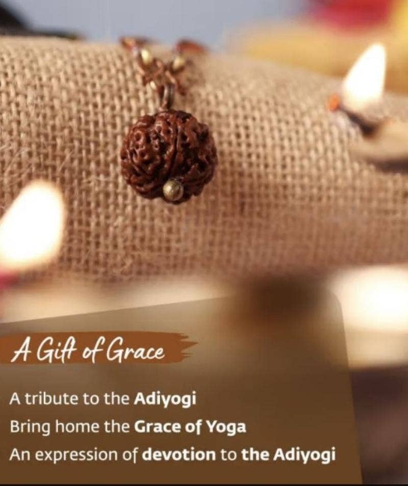 Adiyogi Rudraksha with copper chain. Consecrated Isha Panchamukhi (five faced) Rudraksha bead.