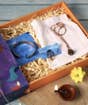 Adiyogi Rudraksha Gift Set