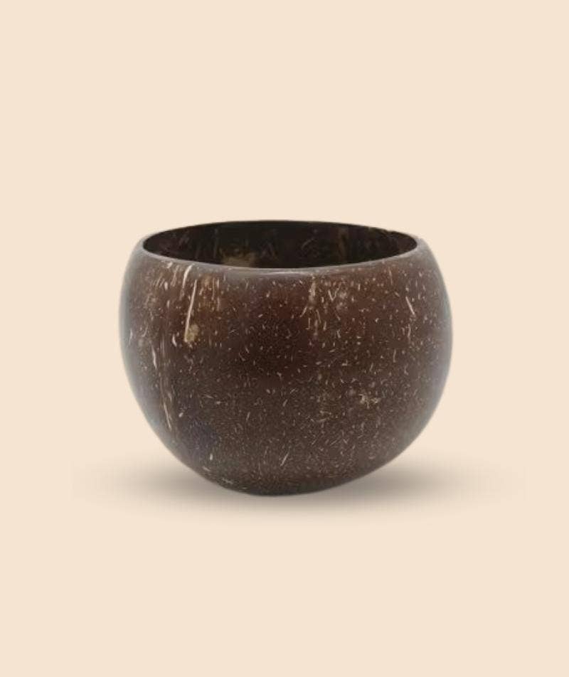 Coco Shell Small Bowl