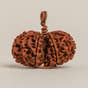 Gaurishankar Rudraksha Bead (Consecrated)