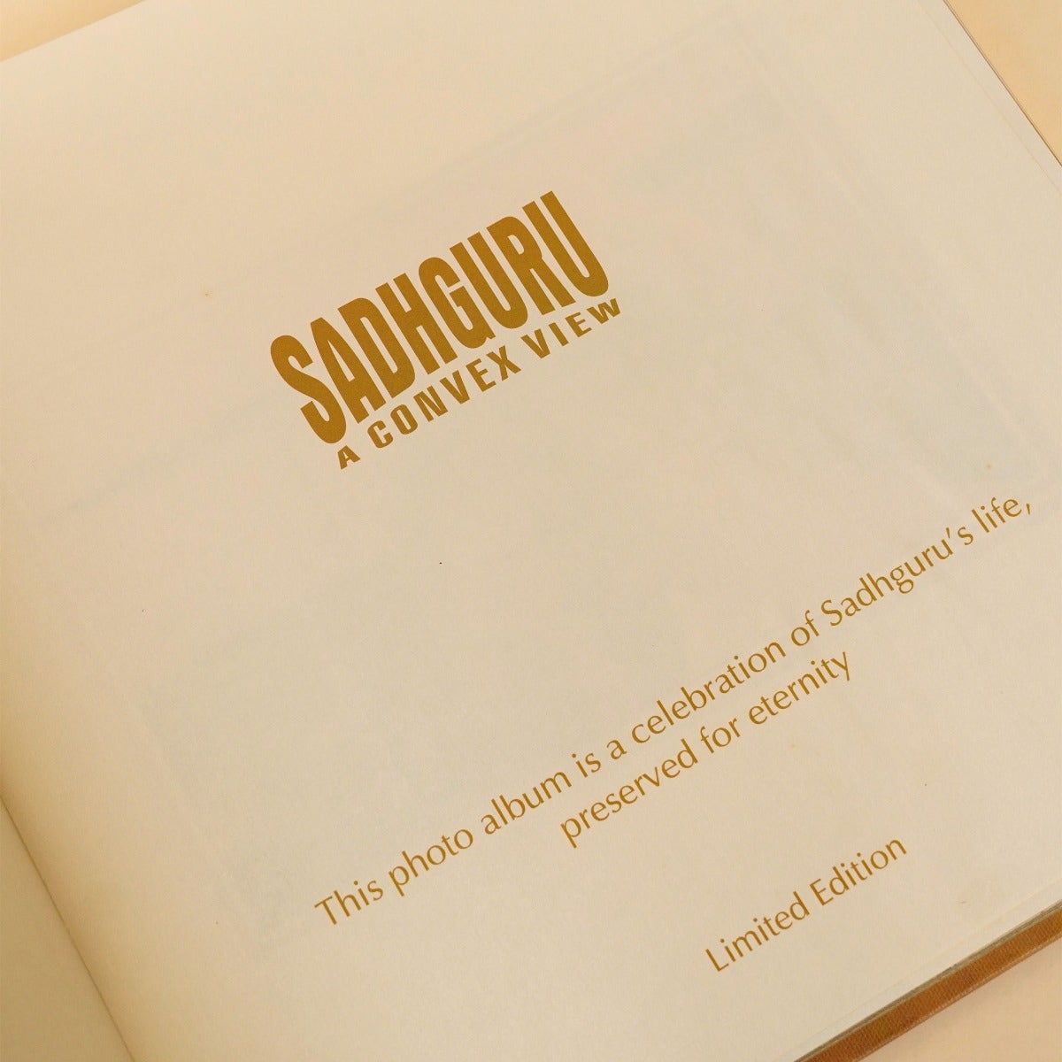 Sadhguru - A Convex View