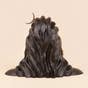 Adiyogi Statue, 1 ft (Consecrated)