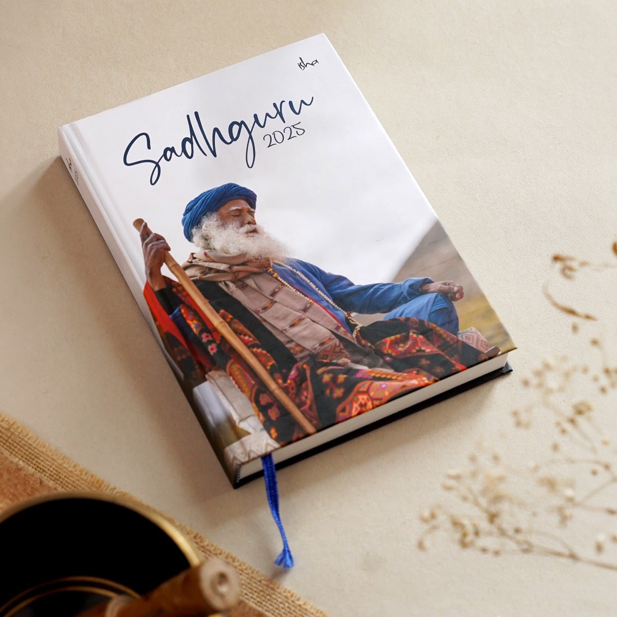 Sadhguru Diary 2025