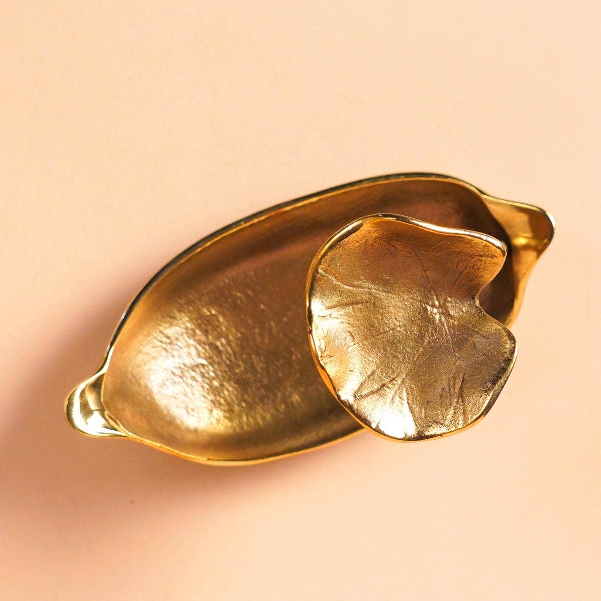 Spring in a Pod - Brass Decorative (large)