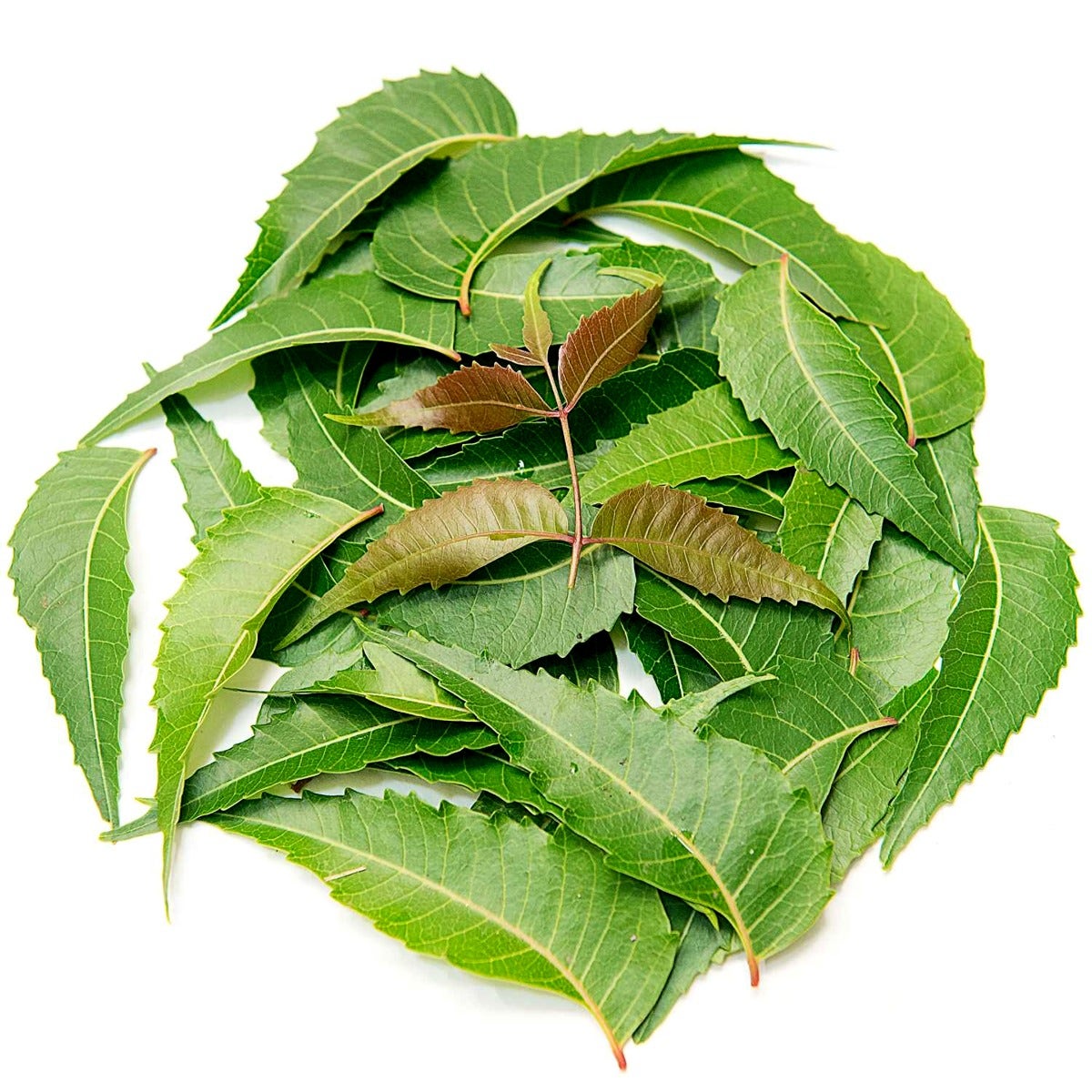 Neem Powder in Veg Capsules, 100 pcs