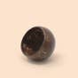 Coco Shell Small Bowl