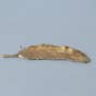 Feather Brass Incense Holder