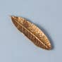 Rhododendron Leaf Brass Incense Holder