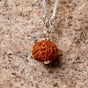Adiyogi Rudraksha With Silver Chain