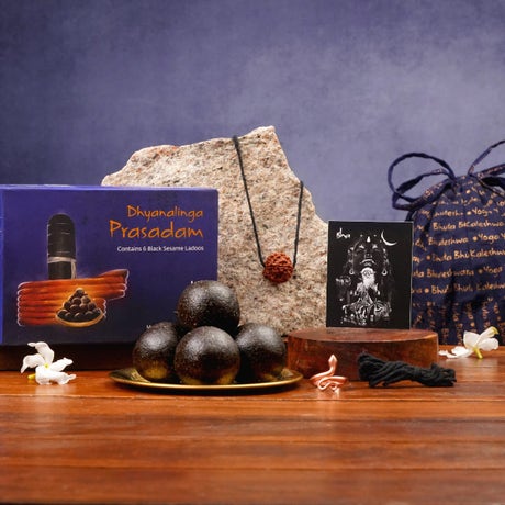 Adiyogi Rudraksha Prasadam