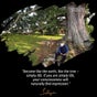 Sadhguru @Birthing Tree, TN: September 14, 2020