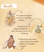 Panchamukhi Rudraksha Beads Mala (Consecrated)