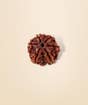Shanmukhi Rudraksha Bead for Children (Consecrated)