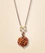 Adiyogi Rudraksha with Chain (Consecrated)