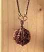 Adiyogi Rudraksha with Chain (Consecrated)