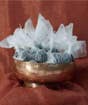 Prasadam, Blessed Offering