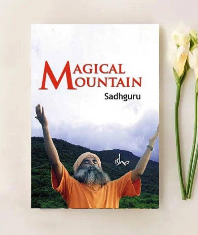 Magical Mountain (video download)