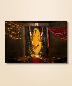 Turmeric, Plain Wide - 48x72 (Download)