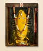 Turmeric, Plain - 48x72 (Download)