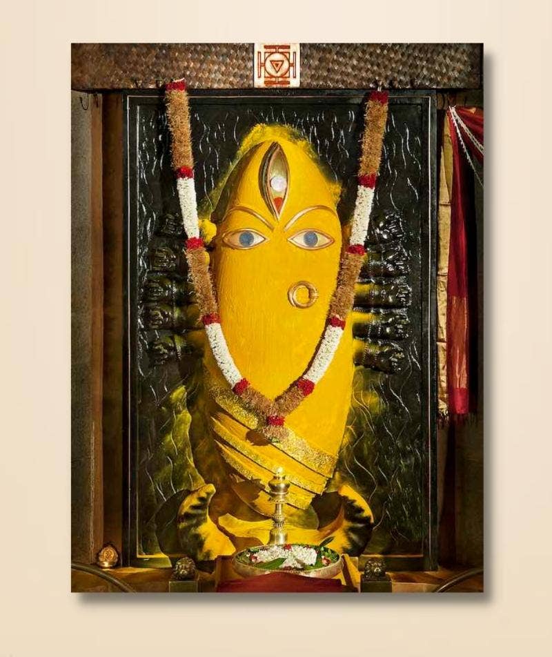 Turmeric, Plain - 48x72 (Download)