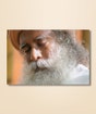 Sadhguru 02 - (photo download)
