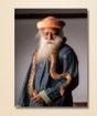 Sadhguru 03 - (photo download)