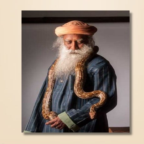 Sadhguru 03 - (photo download)