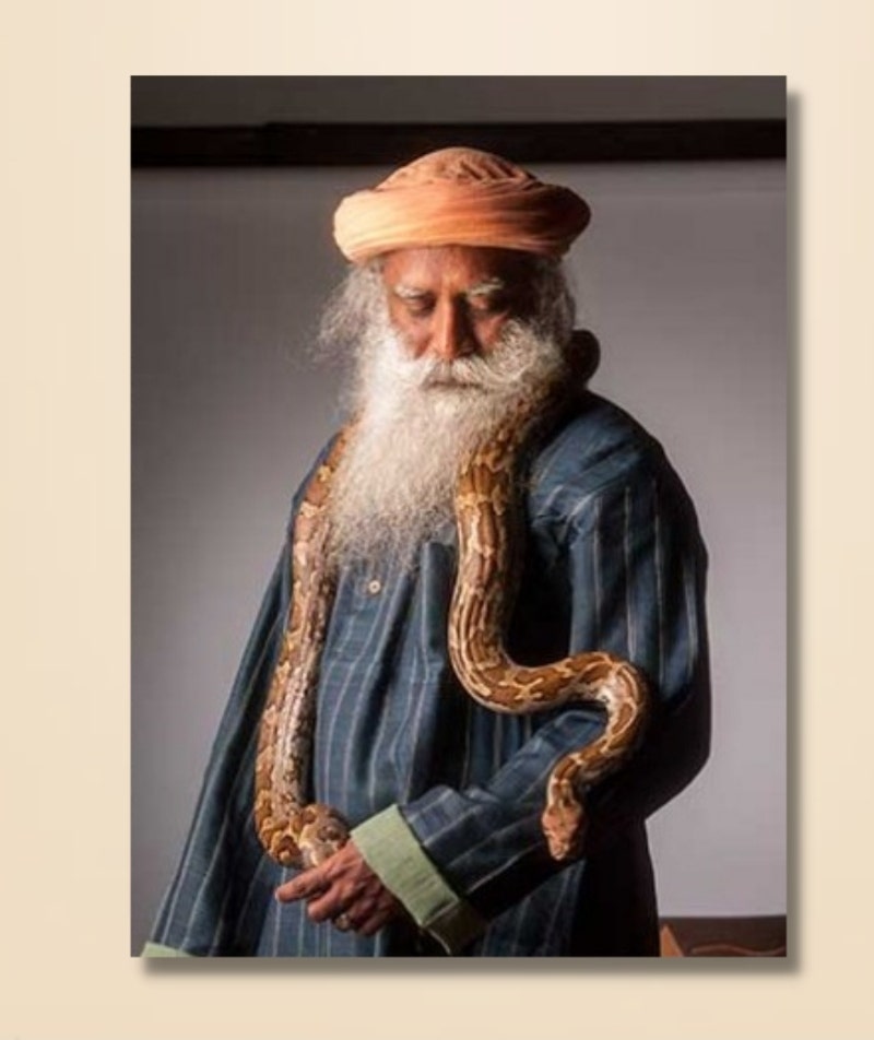 Sadhguru 03 - (photo download)