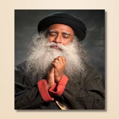 Sadhguru 04 - (photo download)