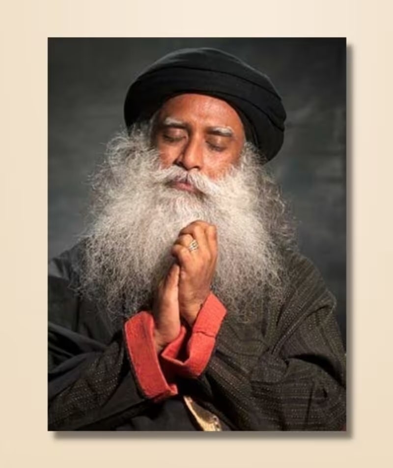 Sadhguru 04 - (photo download)