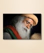 Sadhguru 05 - (photo download)