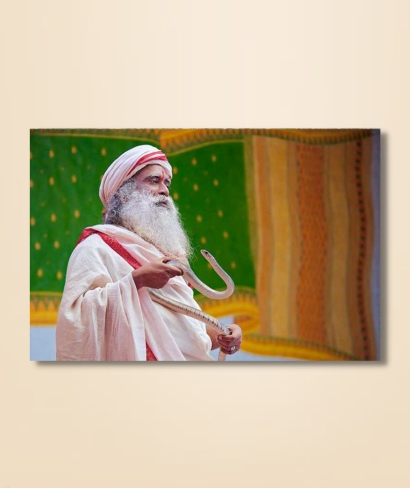 Sadhguru 07 - (photo download)