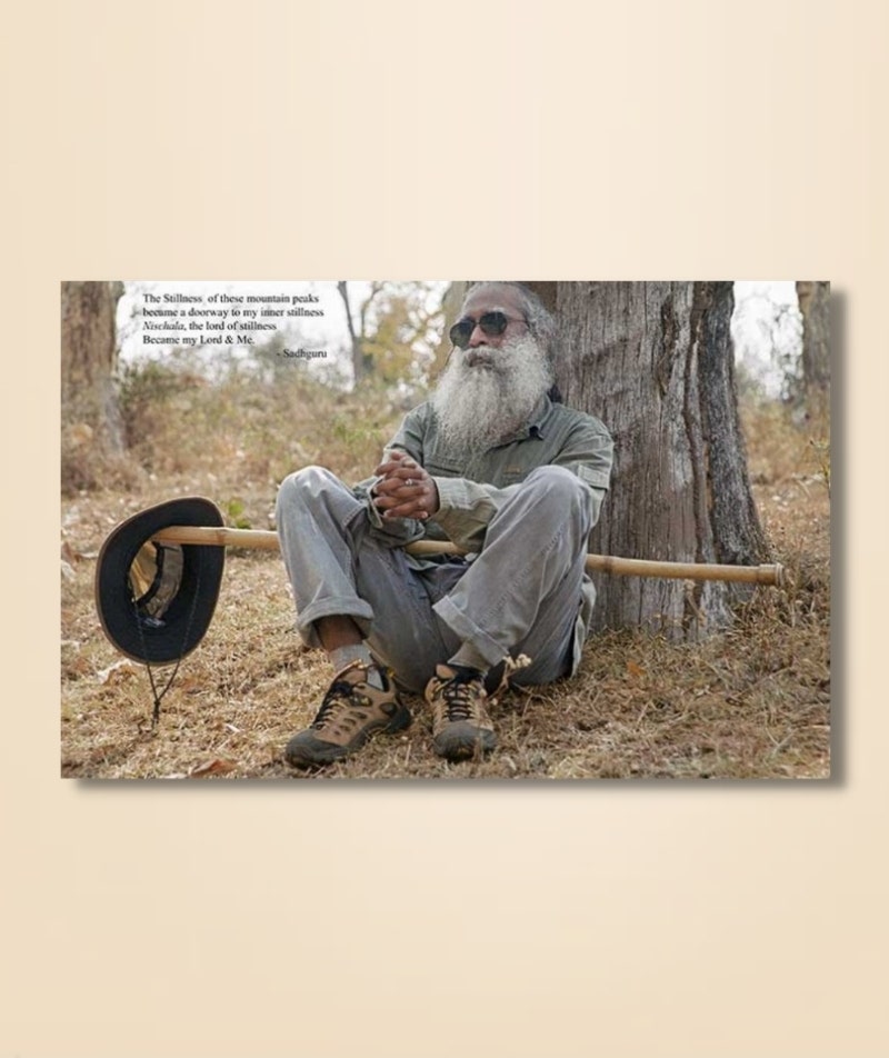 Sadhguru 11 - (photo download)