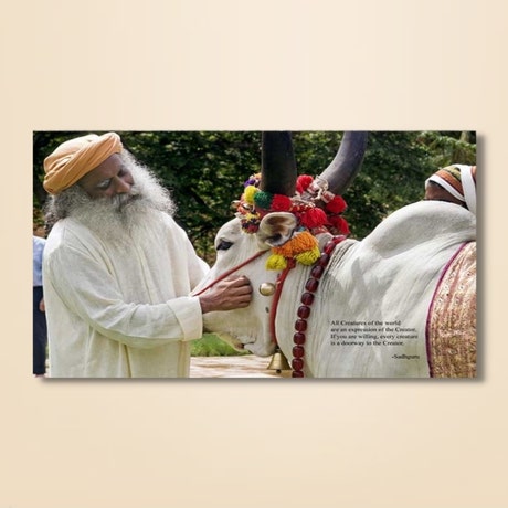 Sadhguru 12 - (photo download)