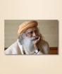 Sadhguru 13 - (photo download)