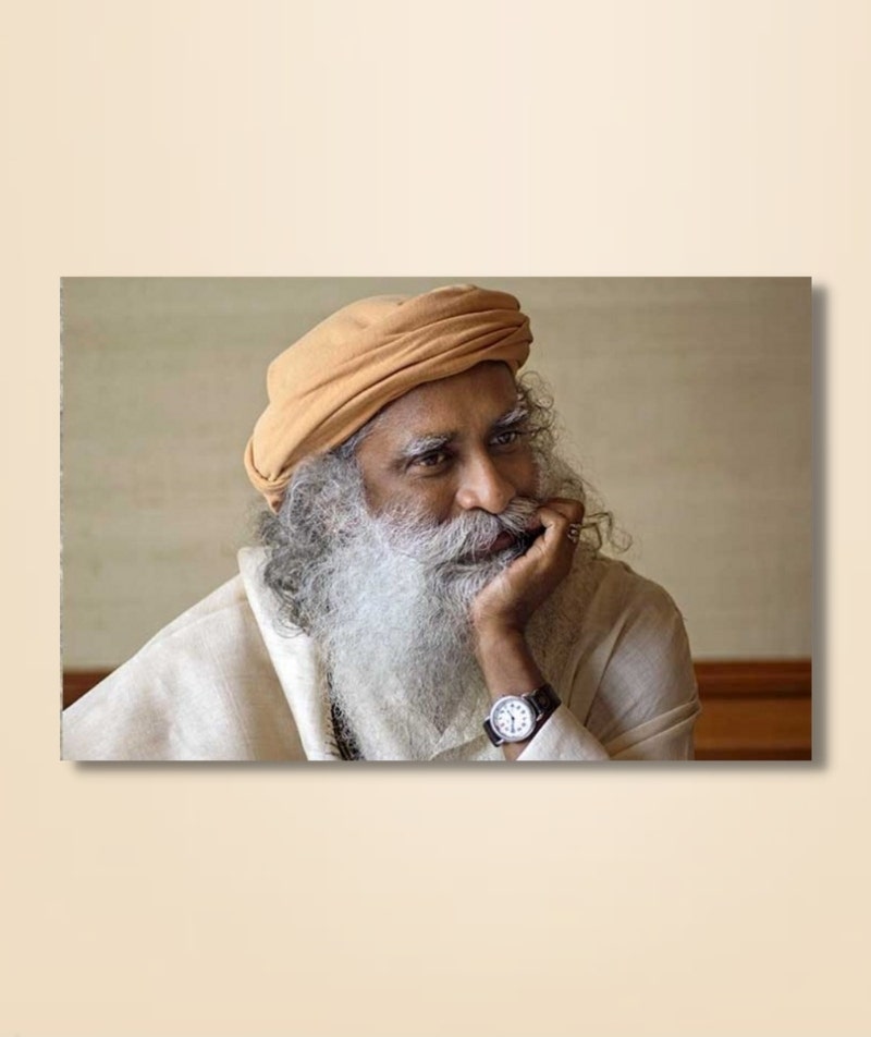 Sadhguru 13 - (photo download)